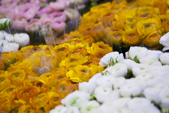 MIN RUNGIS-Fleurs-59.jpg